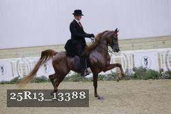 25R13_13388 proof
