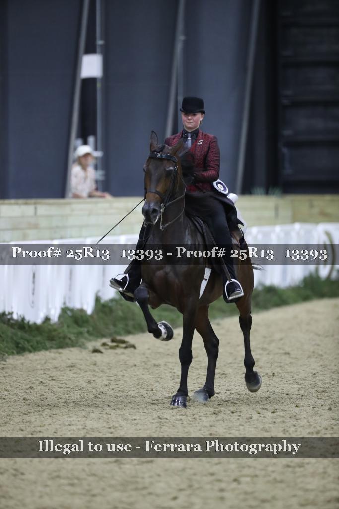 Proof 25R13_13393