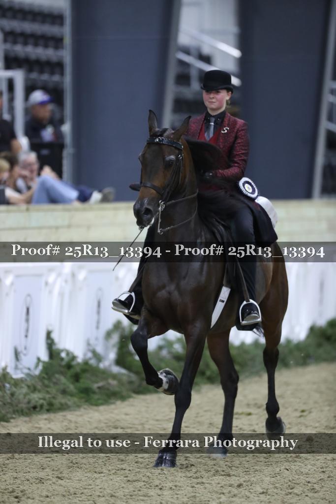 Proof 25R13_13394
