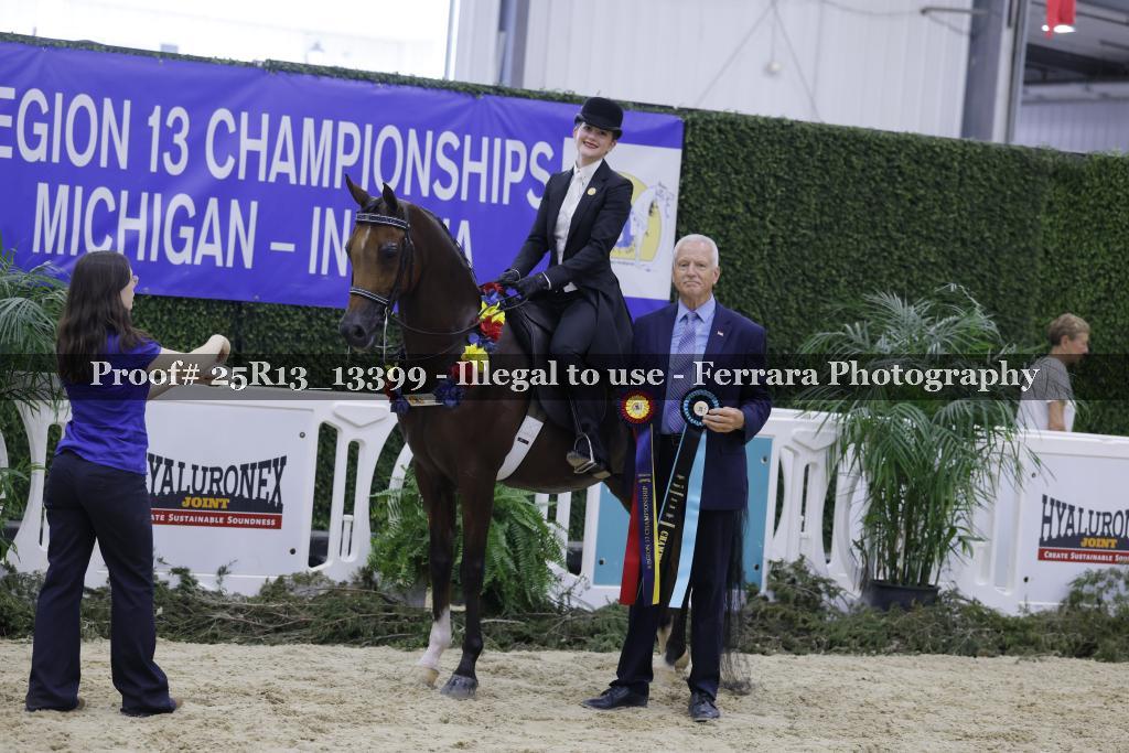 Proof 25R13_13399