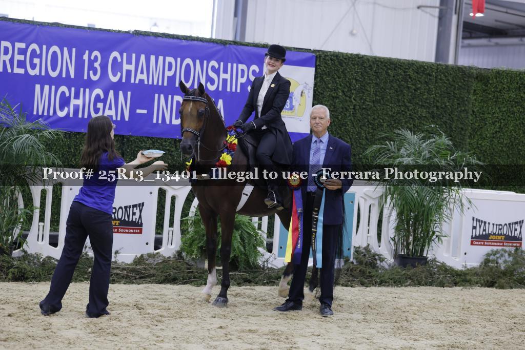 Proof 25R13_13401