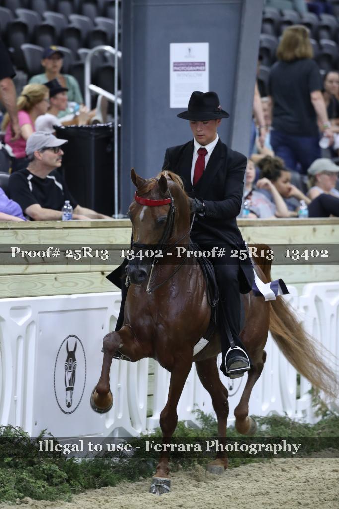 Proof 25R13_13402