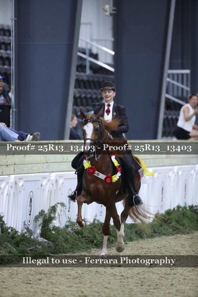 Proof 25R13_13403
