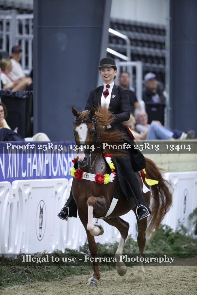 Proof 25R13_13404