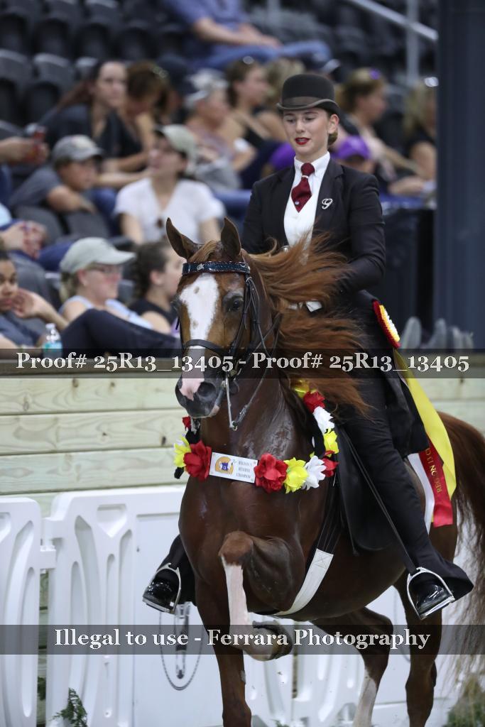 Proof 25R13_13405