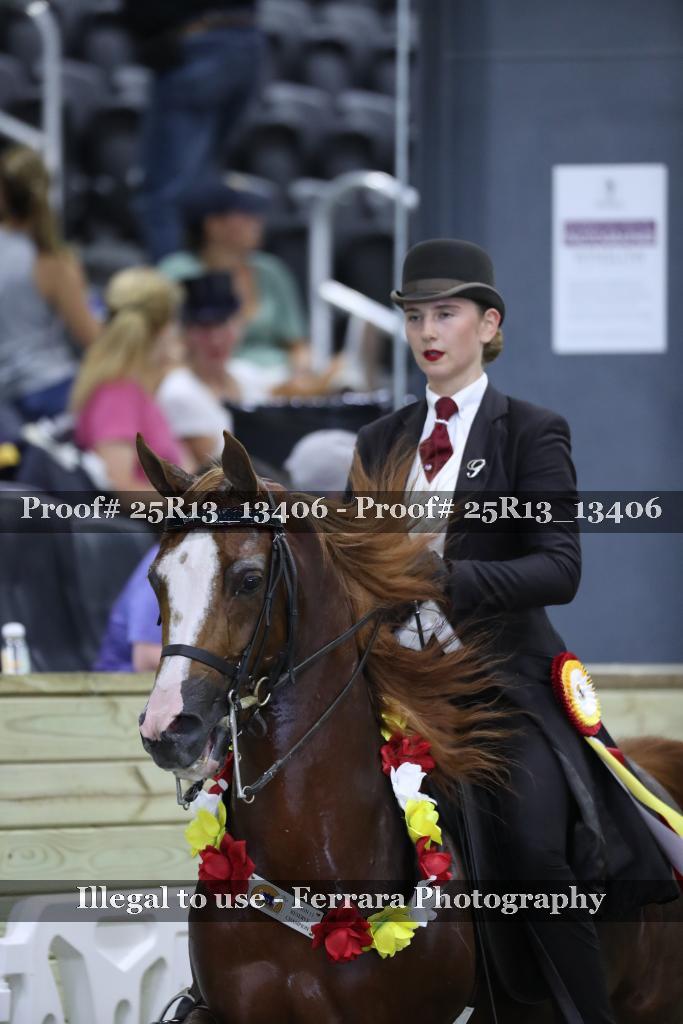 Proof 25R13_13406