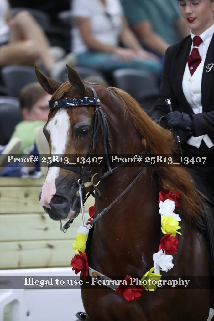 Proof 25R13_13407