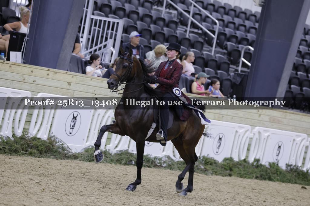 Proof 25R13_13408