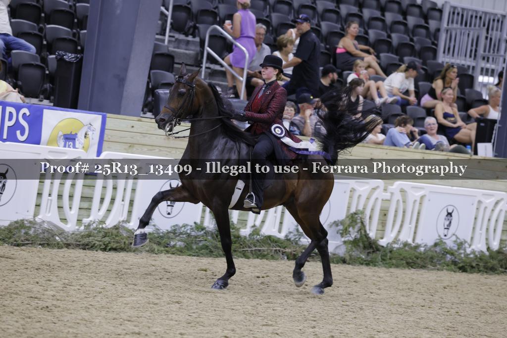Proof 25R13_13409