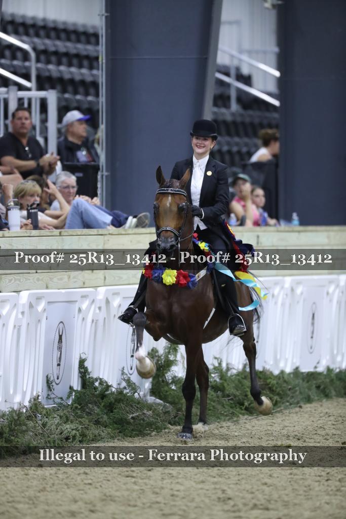 Proof 25R13_13412