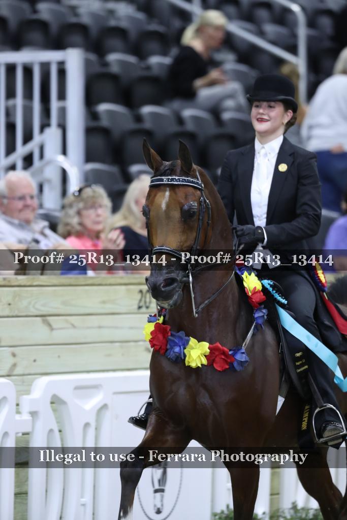 Proof 25R13_13414
