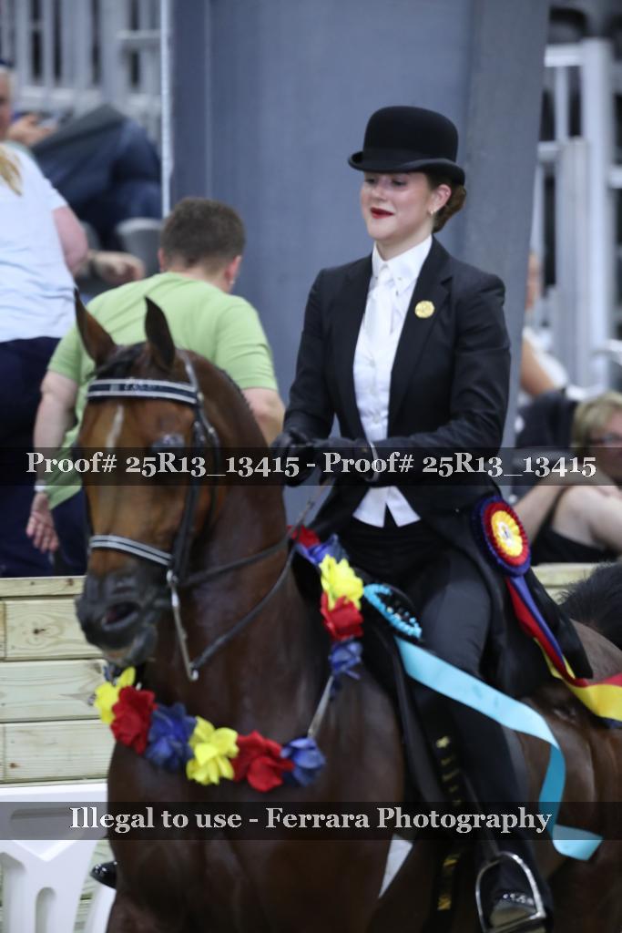 Proof 25R13_13415