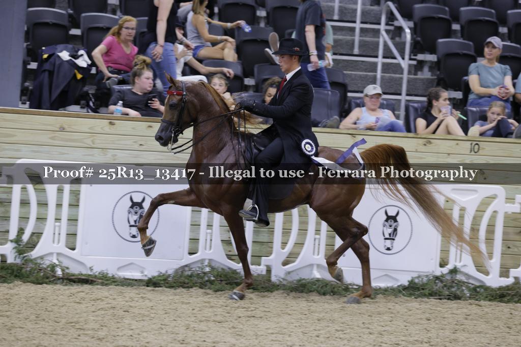 Proof 25R13_13417