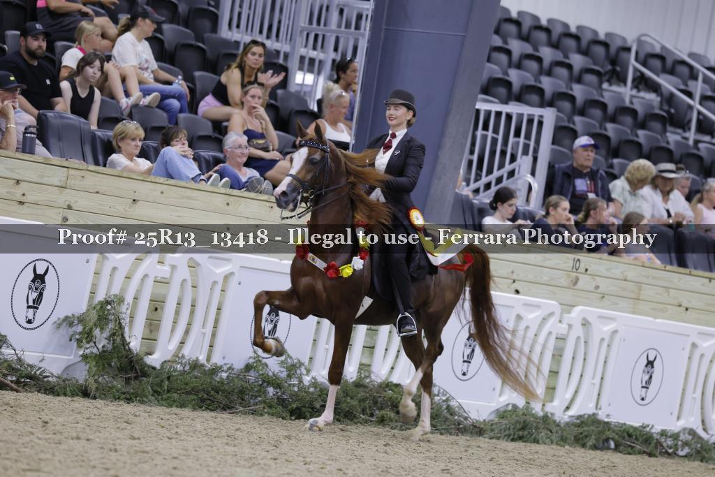 Proof 25R13_13418