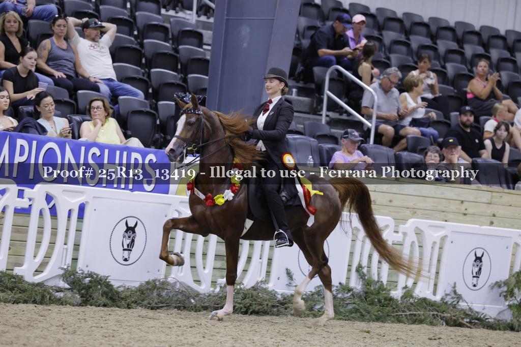Proof 25R13_13419
