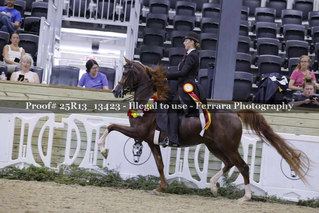 Proof 25R13_13423