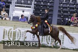 25R13_13423 proof