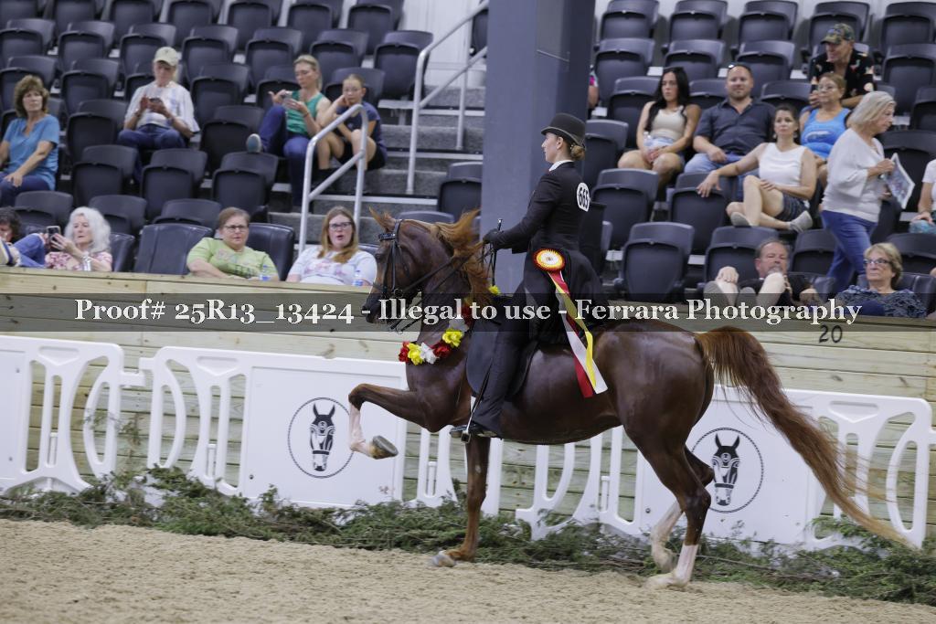 Proof 25R13_13424