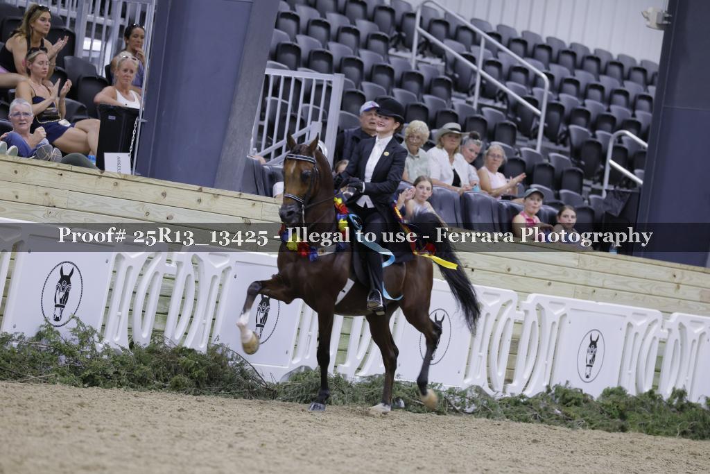 Proof 25R13_13425