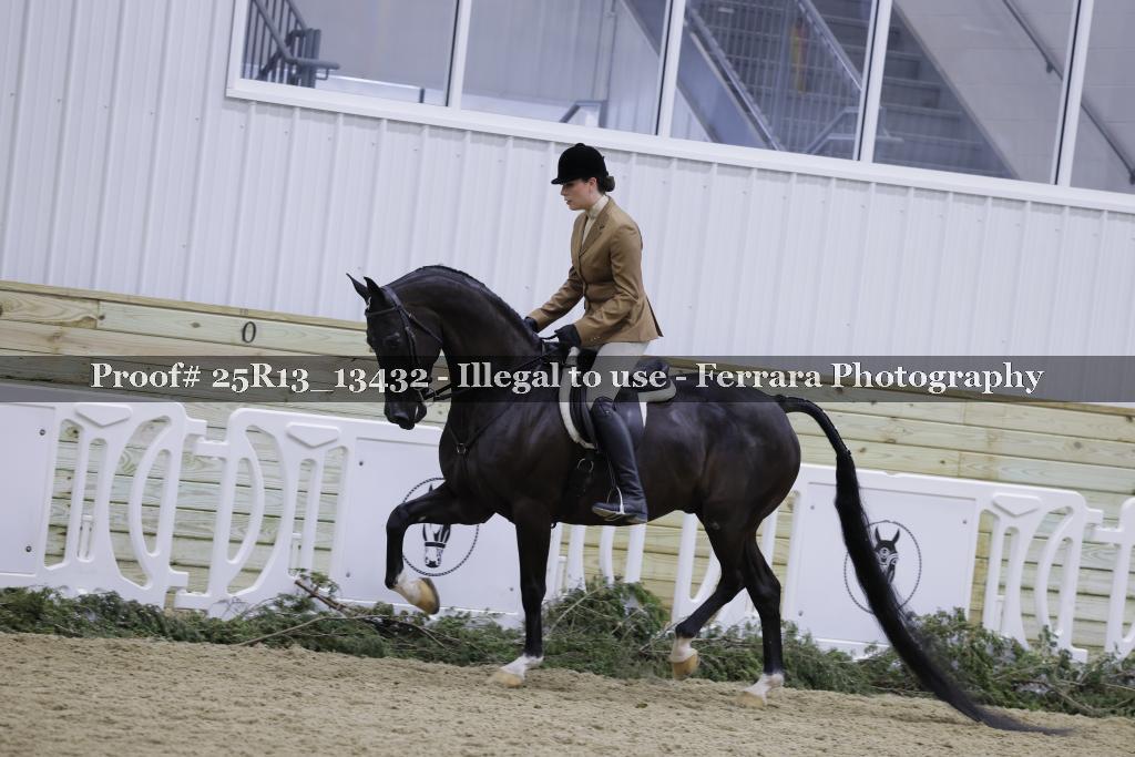 Proof 25R13_13432
