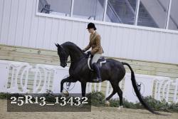 25R13_13432 proof