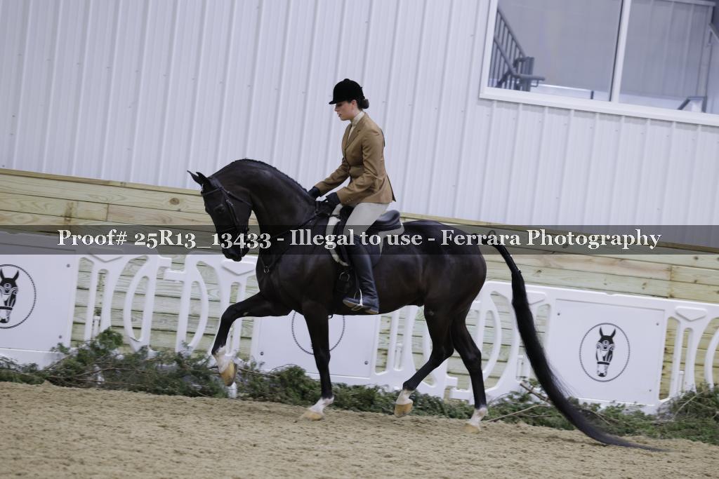 Proof 25R13_13433