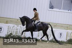 25R13_13433 proof