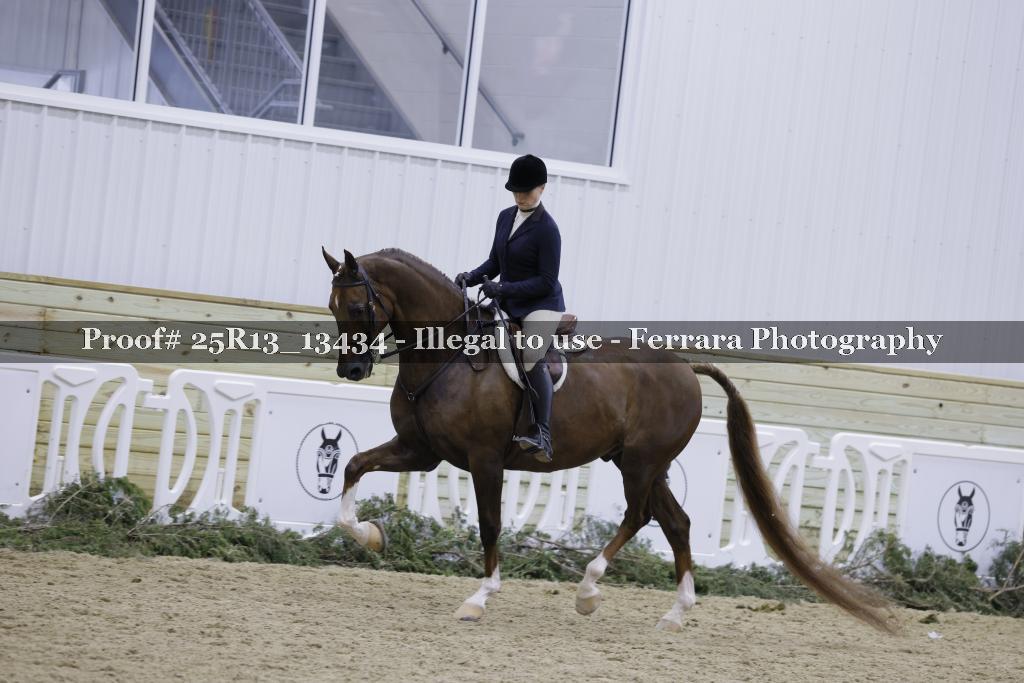 Proof 25R13_13434