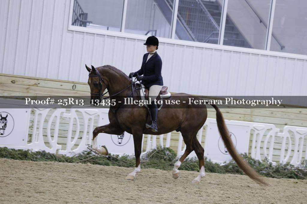Proof 25R13_13435