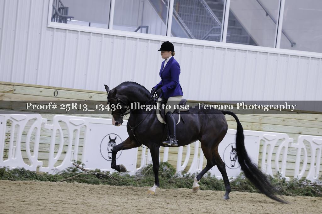Proof 25R13_13436