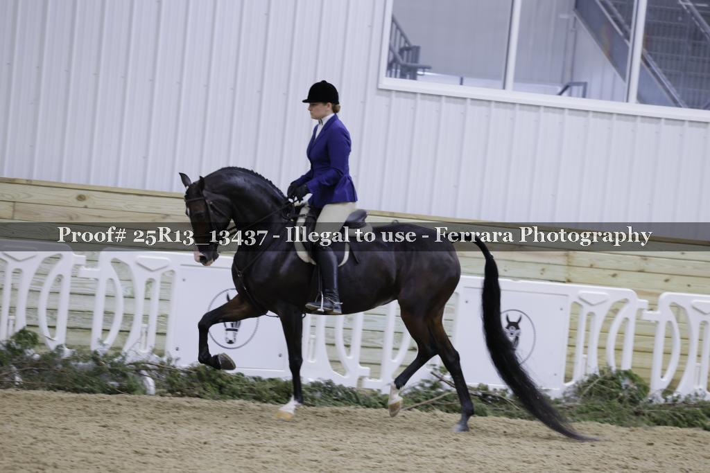 Proof 25R13_13437