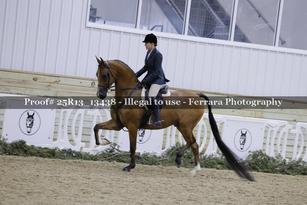 Proof 25R13_13438