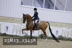 25R13_13438 proof