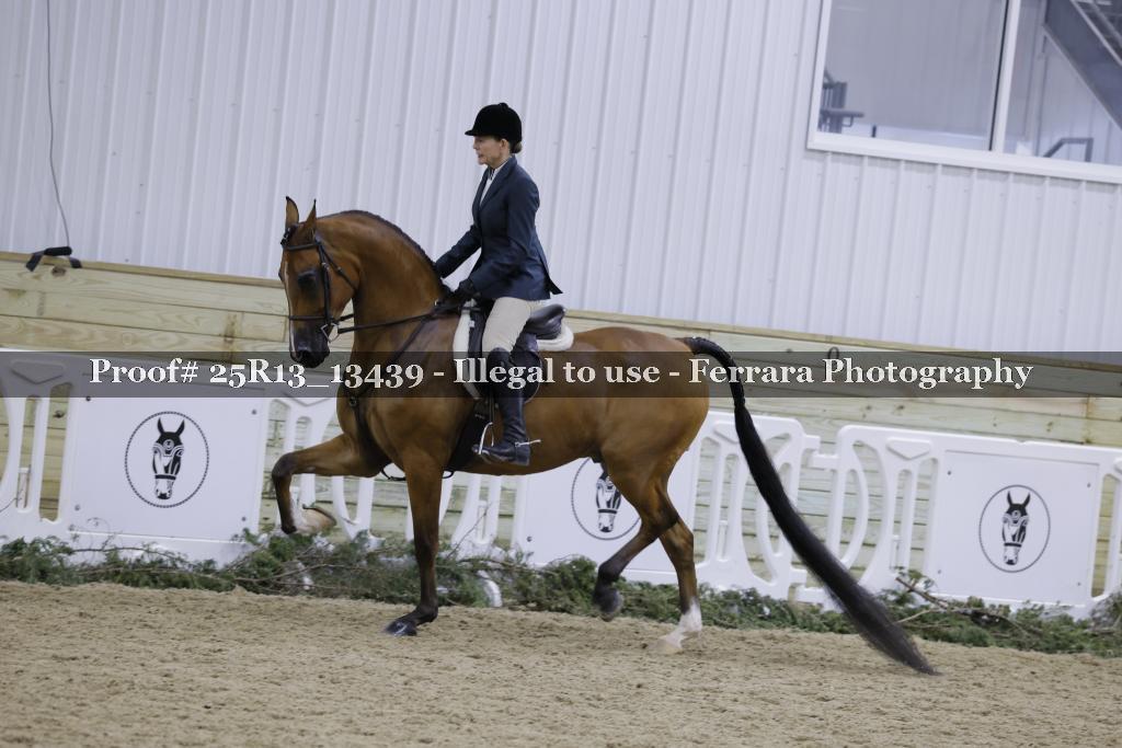 Proof 25R13_13439
