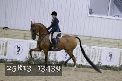 25R13_13439 proof