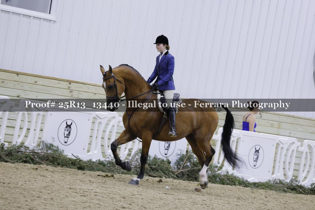 Proof 25R13_13440