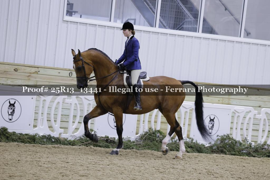 Proof 25R13_13441