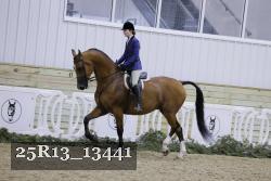 25R13_13441 proof