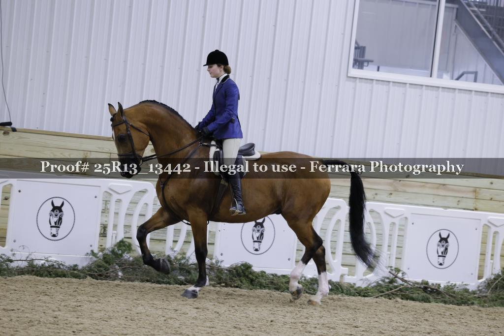 Proof 25R13_13442