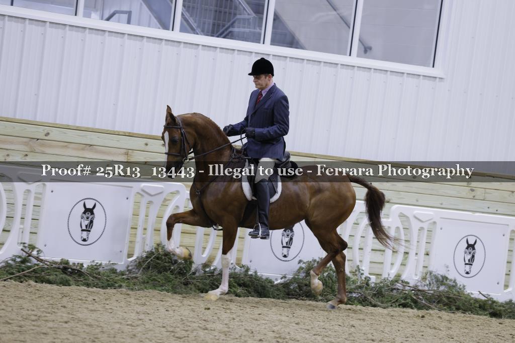 Proof 25R13_13443