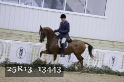25R13_13443 proof