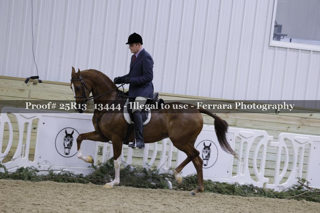 Proof 25R13_13444