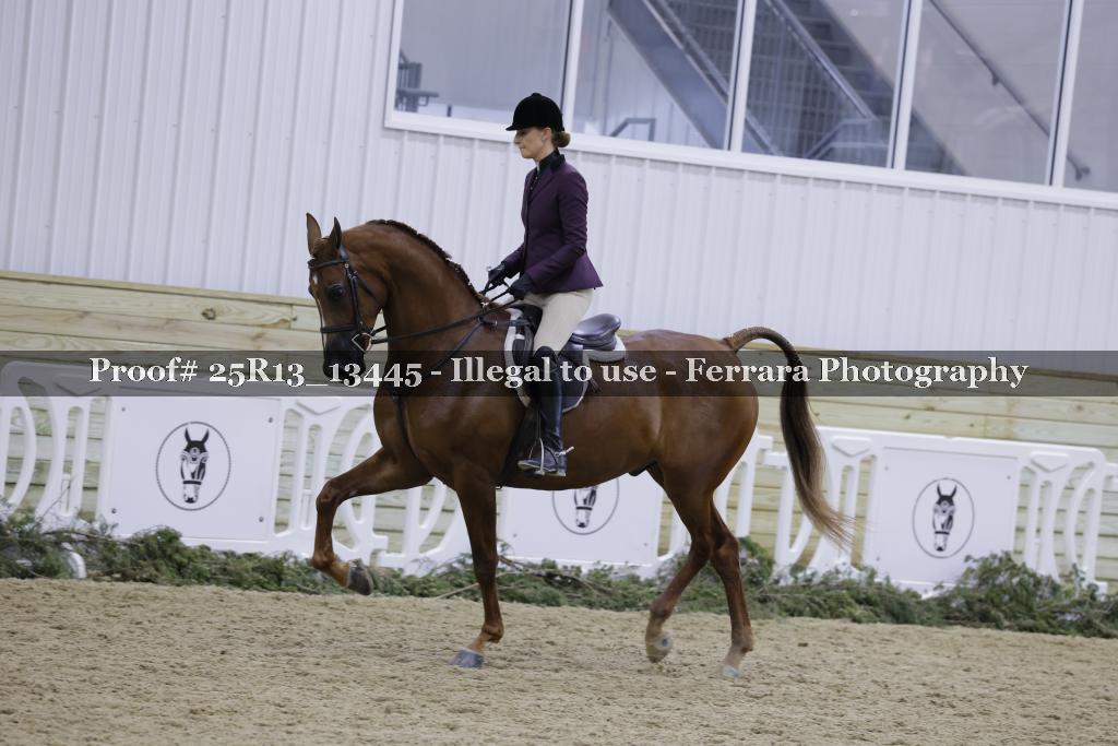Proof 25R13_13445