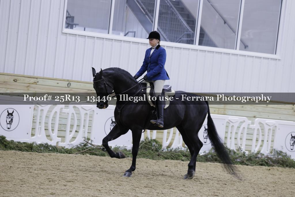 Proof 25R13_13446