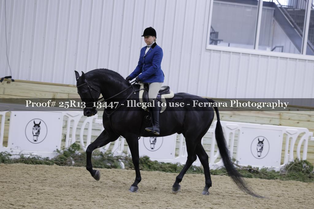 Proof 25R13_13447
