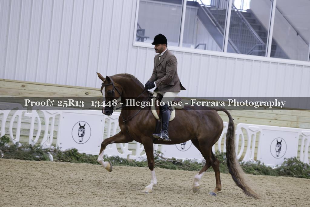 Proof 25R13_13448