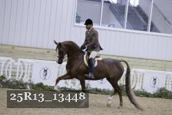 25R13_13448 proof