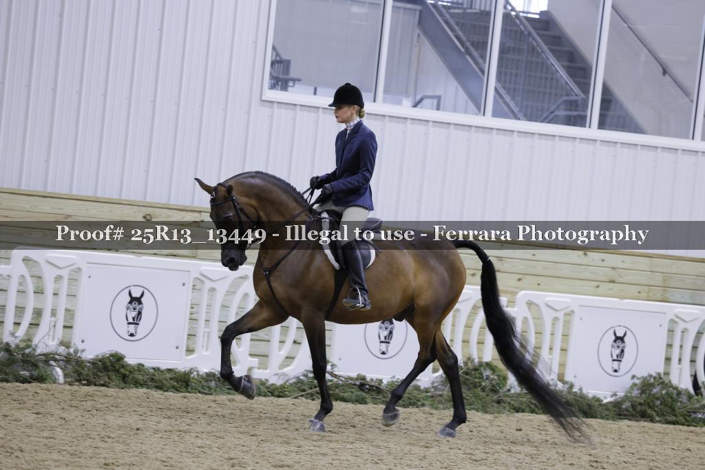 Proof 25R13_13449