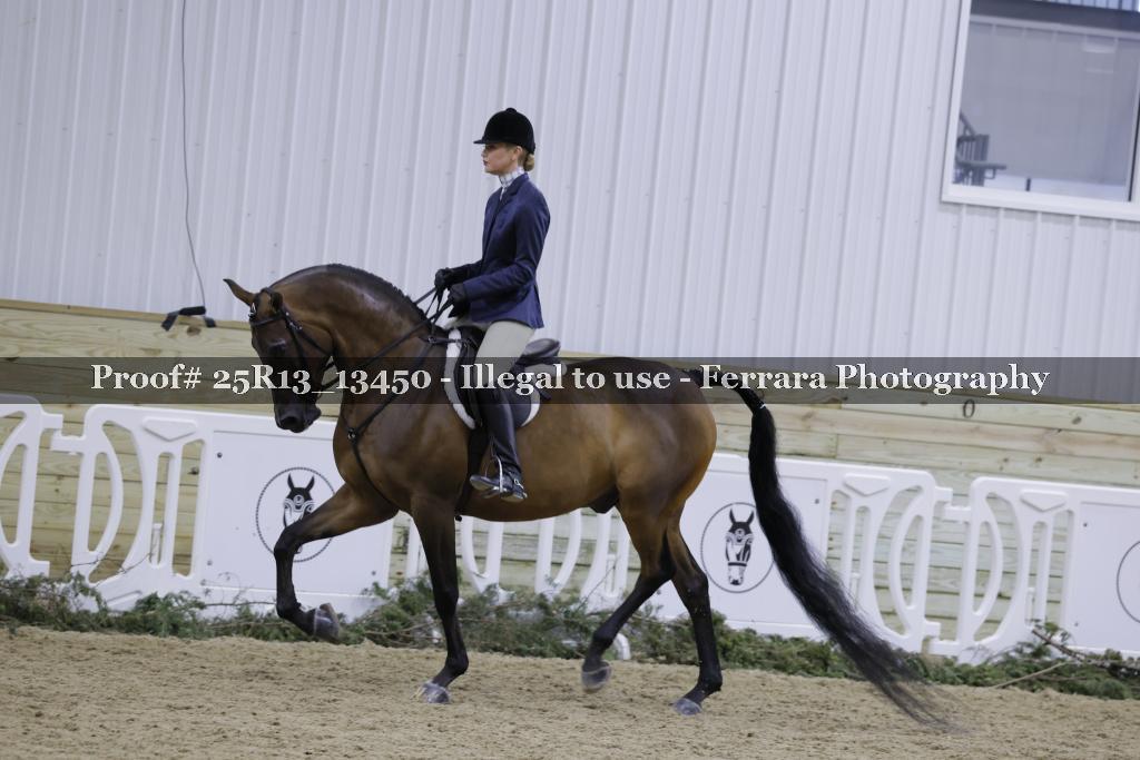 Proof 25R13_13450