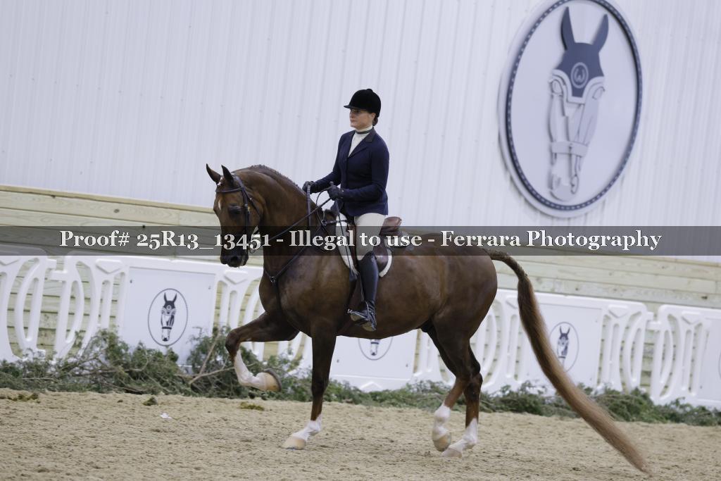 Proof 25R13_13451